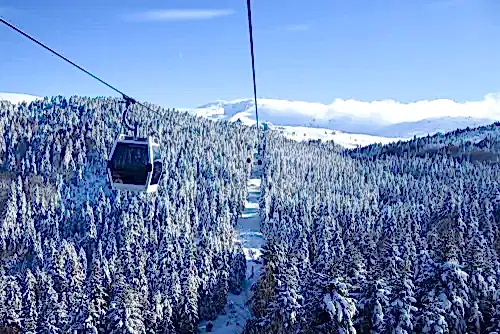 Transportation,Via,Cable,Car,Among,Snow,Covered,Tree,On,A